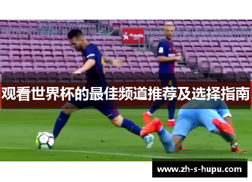 观看世界杯的最佳频道推荐及选择指南