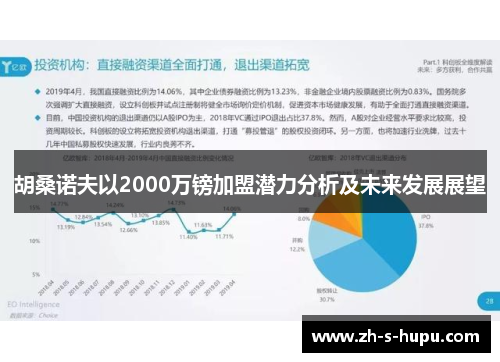 胡桑诺夫以2000万镑加盟潜力分析及未来发展展望