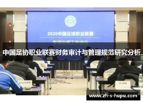 中国足协职业联赛财务审计与管理规范研究分析