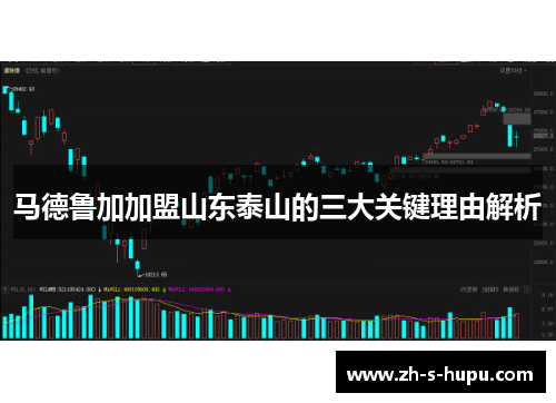 马德鲁加加盟山东泰山的三大关键理由解析