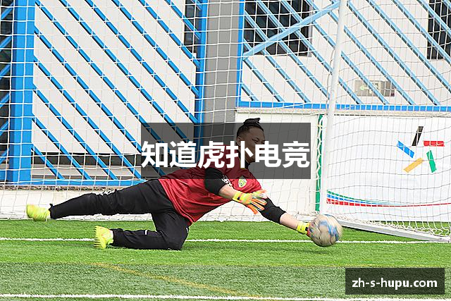 知道虎扑电竞
